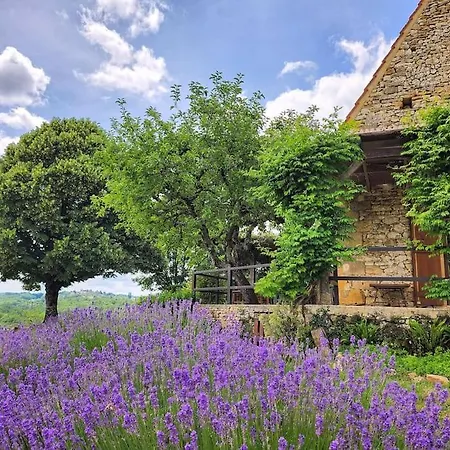 Sarlat, Perigord Noir Calme 8 Vacanciers Prázdninový dům *